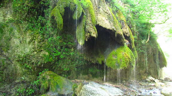 Mossy waterfalls in The corridor of paradise in Kojur to Sisangan forest