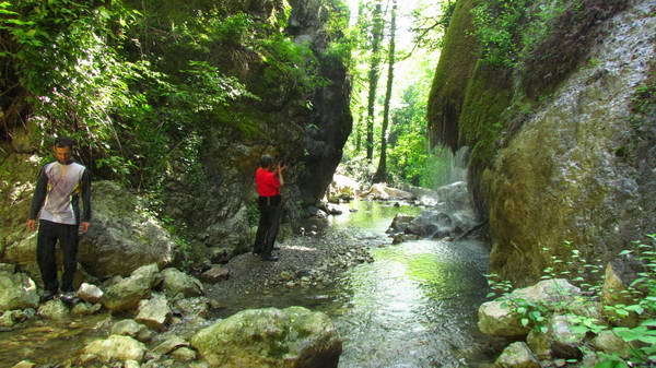 The corridor of paradise in Kojur to Sisangan forest