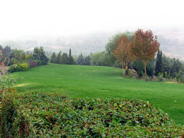 Grasslands in Sofeh Park