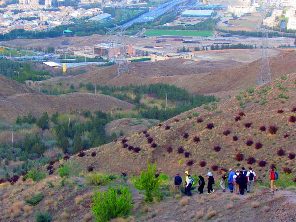 On the way back from the summit of Sefeh