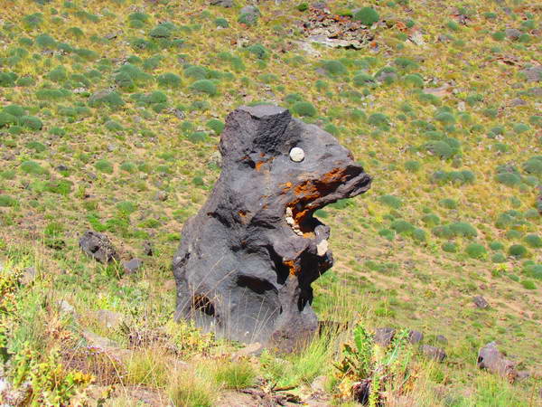 A panda shaped rock in south front of Damavand mountain