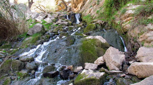 A spring above the Shevi second Waterfall