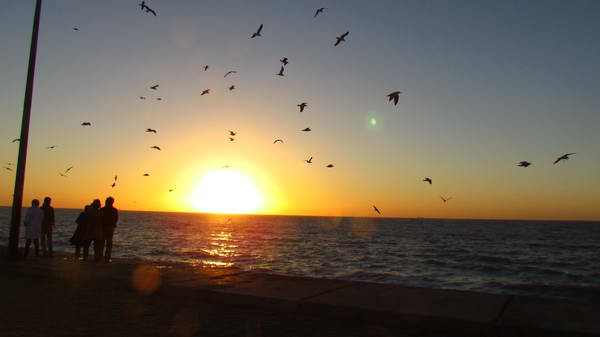 Sunset in Bandar Bushehr beach