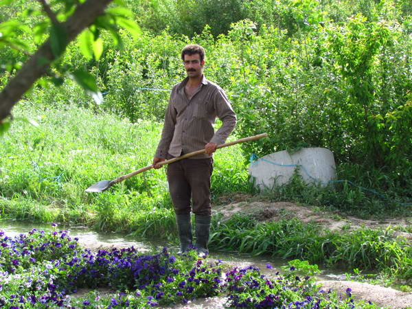 Farms & farmers in Nazhvan Park, Isfahan
