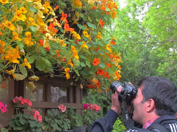 Isfahan Flowers Garden