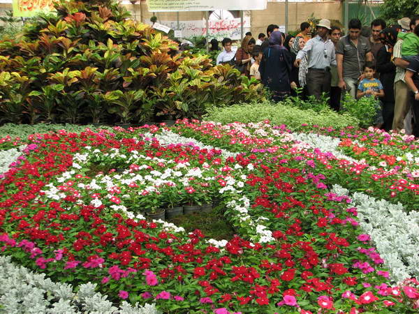 Mahalat Flower Exhibition