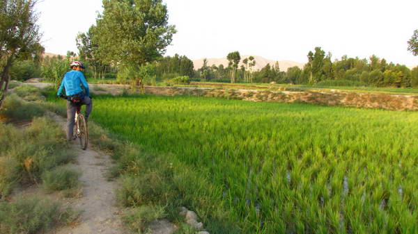 Farms in the banks of Zayandeh Rud