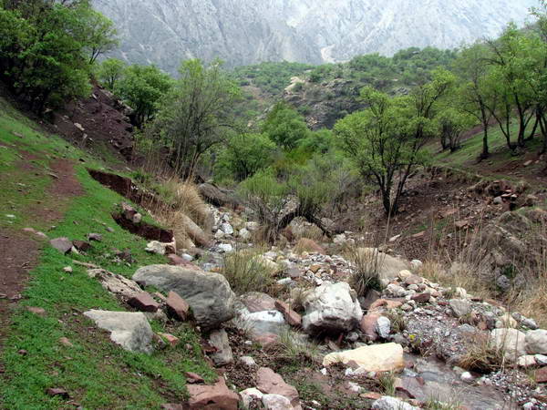 Darreh Eshq ( Love Valley )