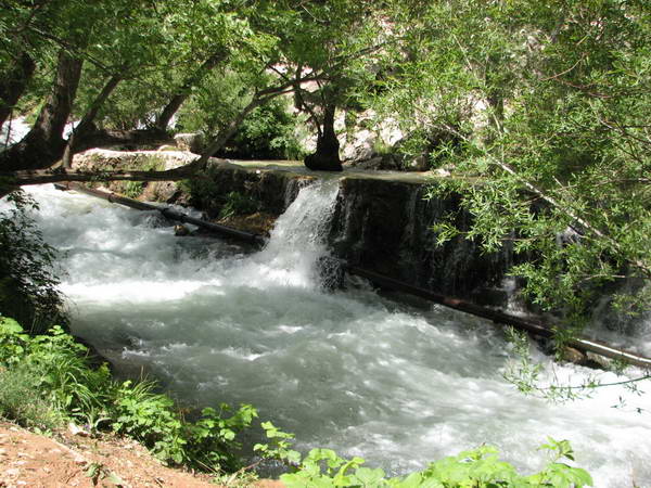The river that originates from Sardab Rostamabad spring