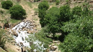 Sardab Rostamabad spring