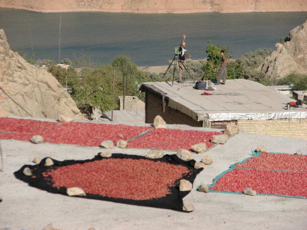 Pomegranate seeds spread on the roofs in Sheyvand (Kian) Village