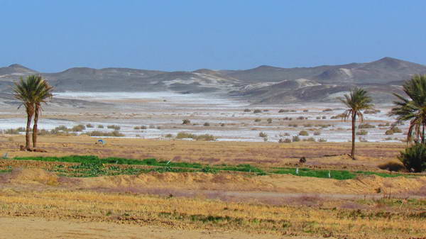 The plains covered by salt, In outskirts of Bayazeh village