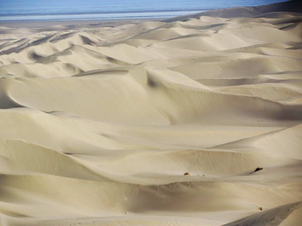 Sandy dunes in Kavir-e Khara