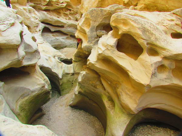 The niches on the curved walls of Chahkooh valley, Qeshm