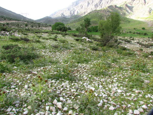 The north slops of Keyno mountain, around Lebd village