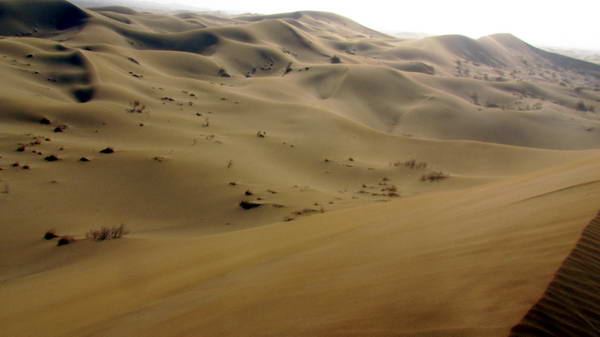 The beauties of Versaneh sandy desert