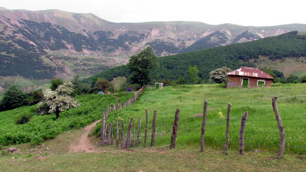 Talesh forests on the old road of Asalem to Khalkhal