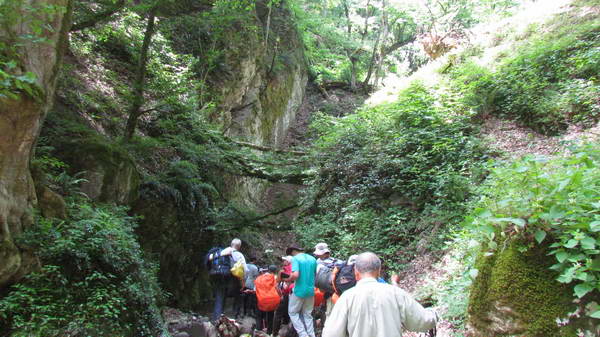Towards Daryabon waterfall, in the Talesh forests