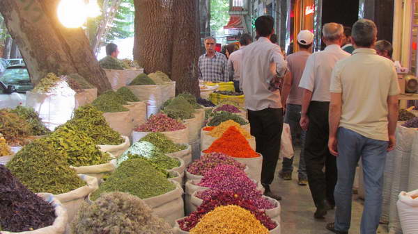 Khansar is the cradle of medicinal and edible plants