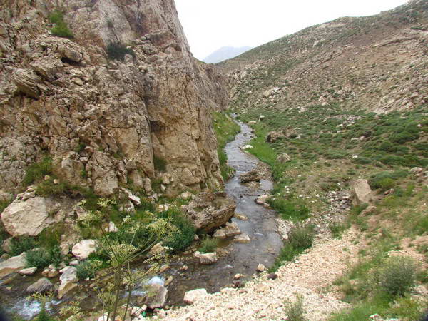 Sefid Ab River, Lar National Park