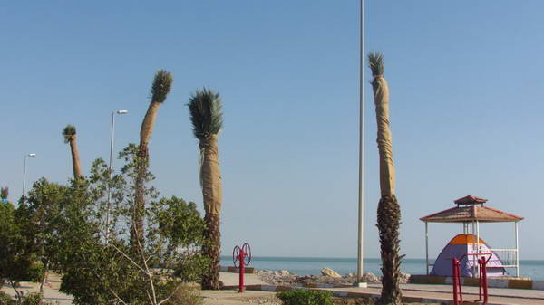 Coastal park of Bandar Abbas