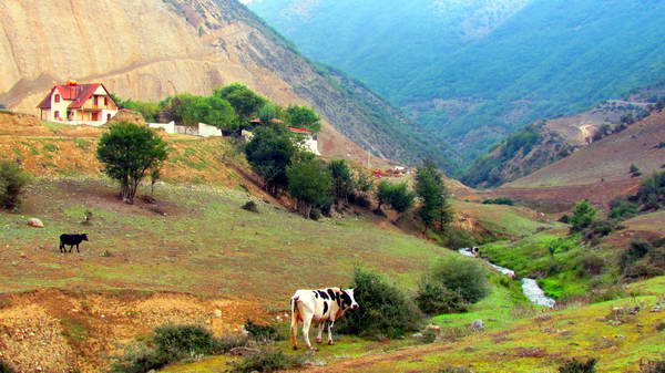 Nature of Kelardasht villages around Sardab Rud