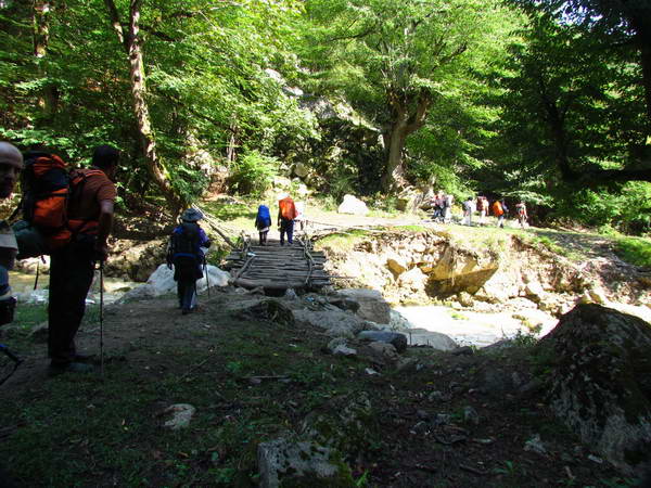 The forest of Kelardasht along the Sardab Rud