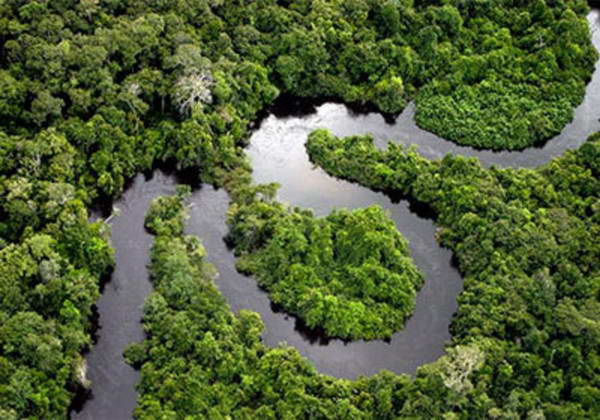 Mangrove forests in Qeshm, a biosphere reserve in UNESCO reserve, registered in UNESCO