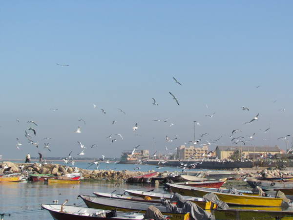 Bushehr, and beautiful local piers