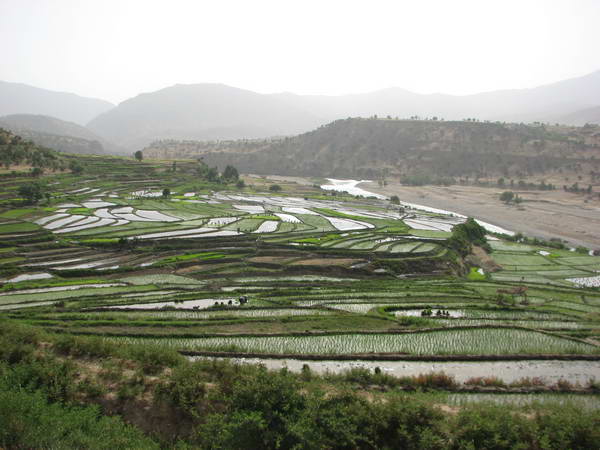 Armand region farms, Chaharmahal & Bakhtiari