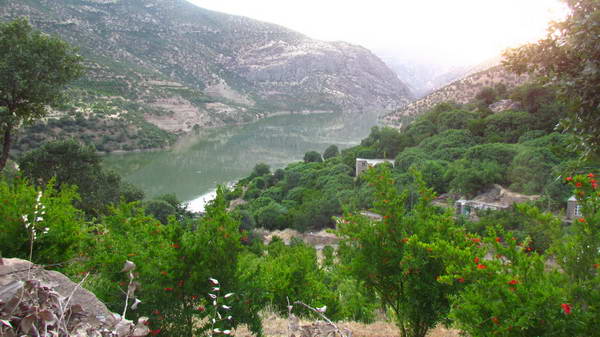 Lake and orchards adjacent to the Rawar village