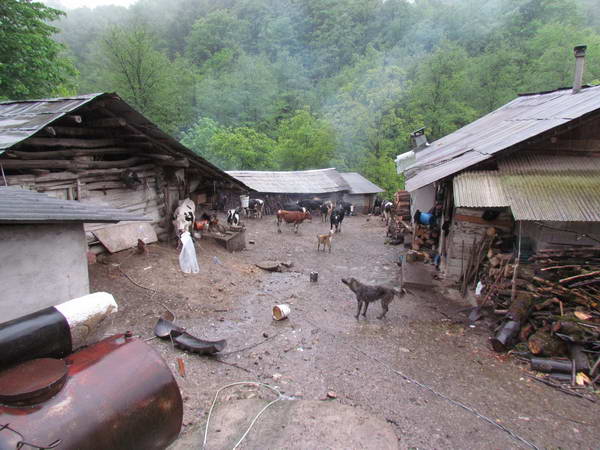 The forest village of Tekiyeh Sang-e Darka