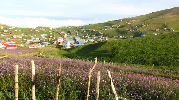 Subatan village and summer