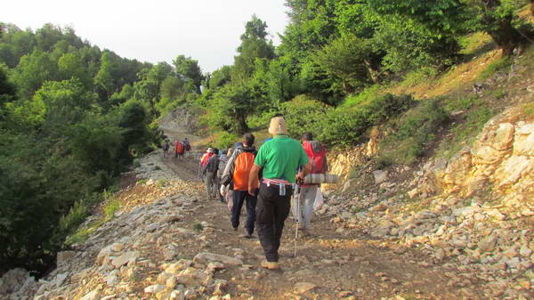 hiking through Lisar forest , from Subatan to Lisar