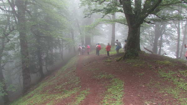 hiking through Lisar forest
