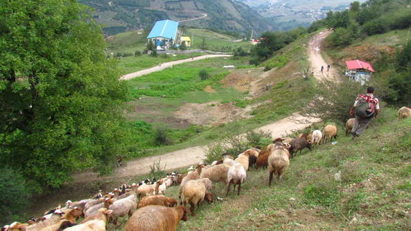 Bula Protected Area, Mazandaran