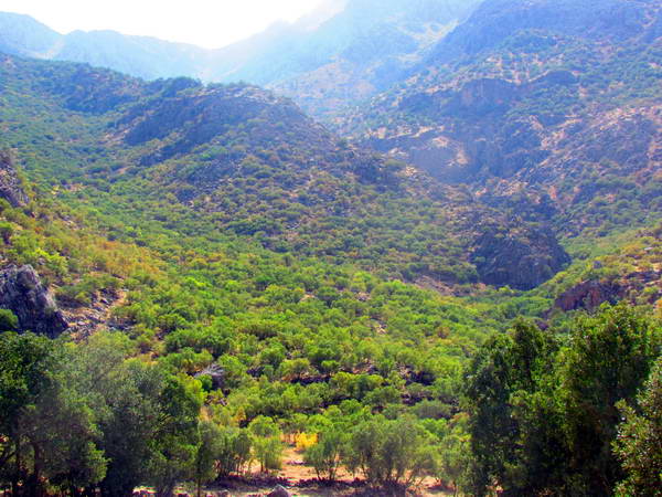 The beautiful nature of Kurdistan - Uraman