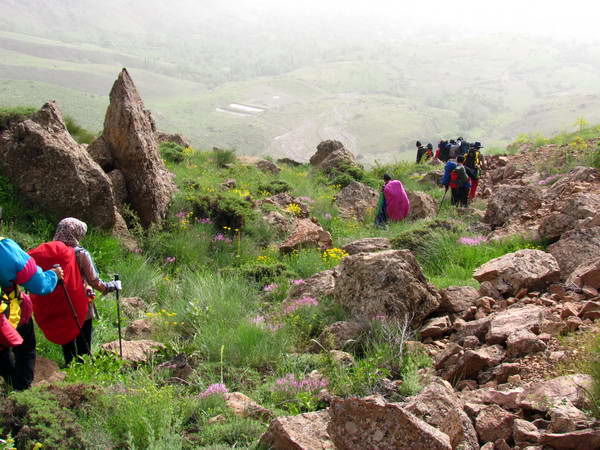 The nature of Khashchal foot, Alamut region