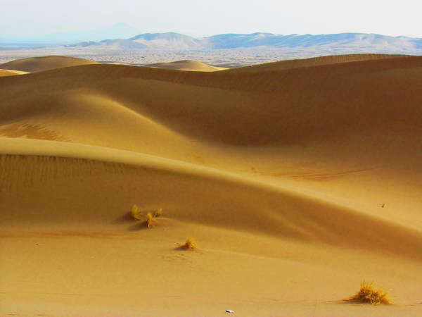 Maranjab sandy desert