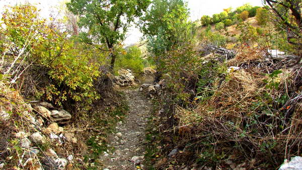 A route on the slops of Arbaba mountain, Baneh