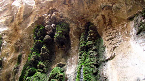 Morteza Ali hot water Fountain & Waterfalls, Tabas