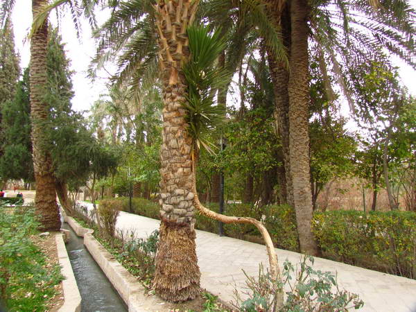 The Golshan Garden of Tabas