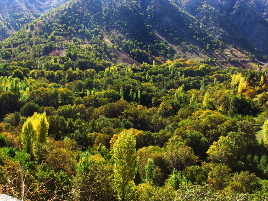 The nature and villages in west of Sardasht